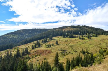 Gökyüzünün altında koyu yeşil kozalaklı ormanların ve çimenli tarlaların karışımıyla kaplı büyük, yuvarlanan tepe manzarası dağınık, ince beyaz bulutlarla mavidir. Karpat Dağları, Ukrayna