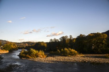 Cheremosh nehir manzarasının huzurlu nehir kıyısında, akan su boyunca yemyeşil ağaçlar, altın saatinde yakalanmış, sükunet ve doğal güzelliği çağrıştırıyor. Karpat Dağları, Ukrayna