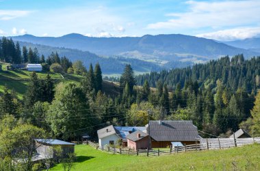 Kırsal çiftlik evlerinin, açık mavi gökyüzünün altında yemyeşil çayırları ve ormanlı dağ zeminini barındıran ideal kırsal manzara, doğada yaşamanın dinginliğini ve güzelliğini yansıtıyor. Karpatlar