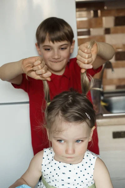 Hermano y hermana en la cocina y el chico tira de la chica por las colas —  Fotos de Stock
