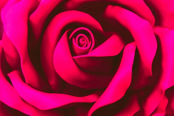 Una hermosa flor de plástico rosa. Fondo borroso abstracto. Enfoque selectivo — Foto de Stock