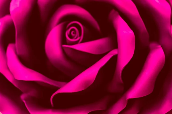Nádherná květina z růžového plastu. Abstraktní rozmazané pozadí. Selektivní zaměření — Stock fotografie
