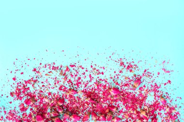 Mavi bir arka plan üzerinde pembe gül kurutulmuş tomurcukları. Metin için yer. 