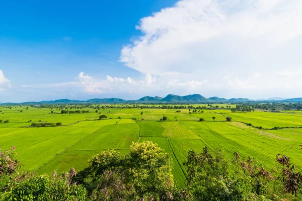 Paysage Rizière Avec Montagne Vague Derrière Thaïlande — Photo