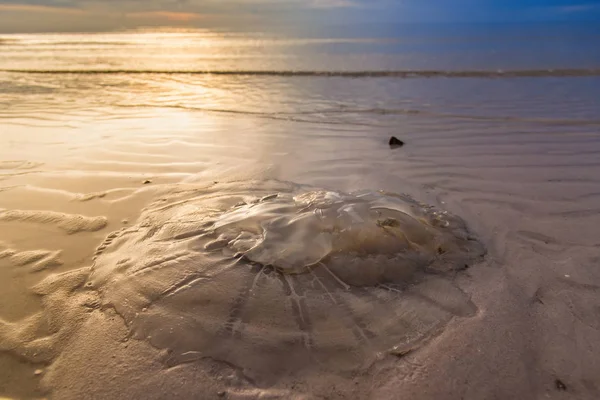 Kwal Het Strand Ochtend Zon Tijd Thailand — Stockfoto