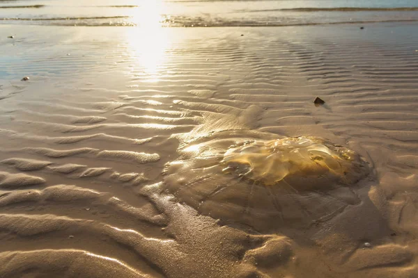 Kwal Het Strand Ochtend Zon Tijd Thailand — Stockfoto