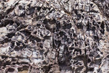 Sone yüzeye yakın çekim Tayland