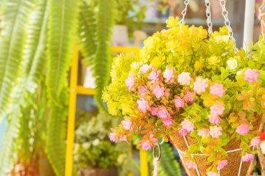 Plastik çiçeklerin parlak ve güzel renkleri
