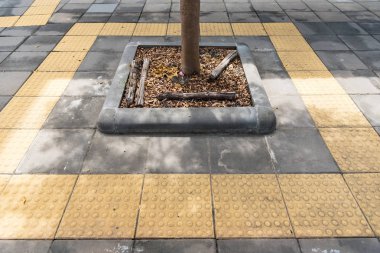 Geçit bangkok Tayland üzerinde dikilen ağaçlar