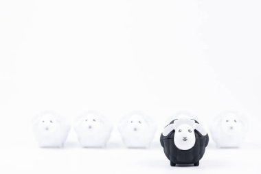 Black sheep bebek ve metniniz için boş beyaz arka plan üzerinde izole beyaz koyun bebek