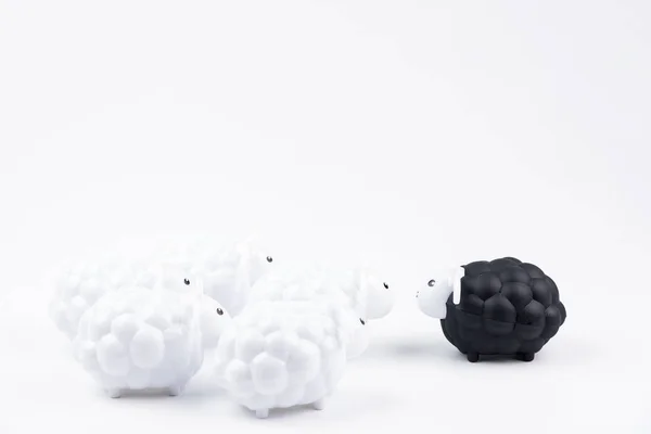 黑羊娃娃和白羊娃娃隔离在白色背景与空白为您的文本 — 图库照片