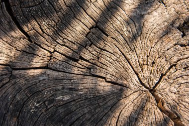 Eski doğal ahşap doku arka plan için çatlamak