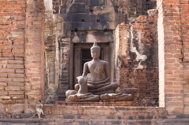 Uzun kuyruk komik maymunlar arkeolojik ile hayatı. Lopburi Tayland