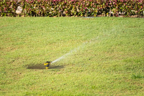 Sistema automático de rociadores que riega el césped sobre un fondo de — Foto de Stock