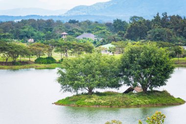 Göldeki küçük bir ada. Tayland.
