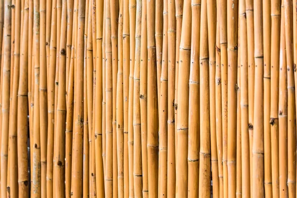 Крупним планом декоративне старе бамбукове дерево огорожі стіни фону . — стокове фото