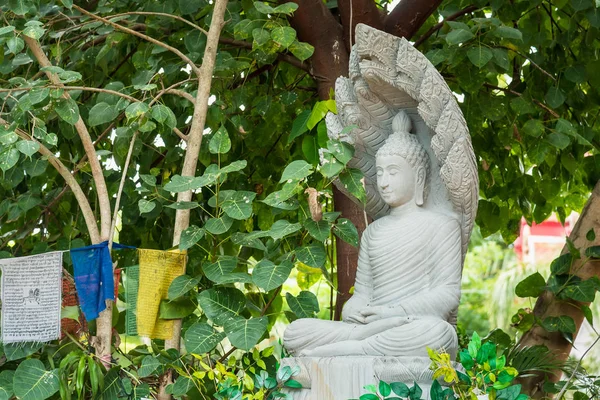 Estatua de Buda bajo el árbol Bodhi bajo el árbol Bodhi . — Foto de Stock