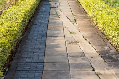 Doğa parkındaki gölde yürüyüş yolu.