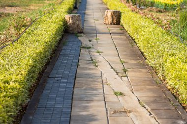 Doğa parkındaki gölde yürüyüş yolu.