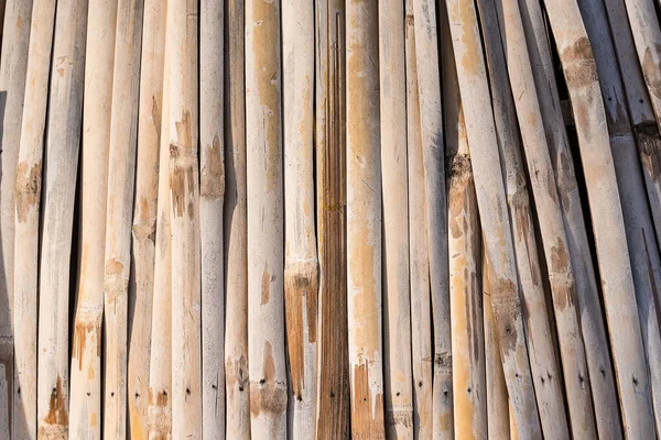 Реальна Текстура Бамбукового Дерева — стокове фото
