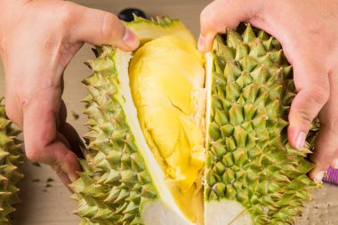 Durian mon tangası durian ve durian soyulmuş meyve tabağı tropikal durian 'ın beyaz arka planda sağlıklı durian meyvelerinin kralıdır.