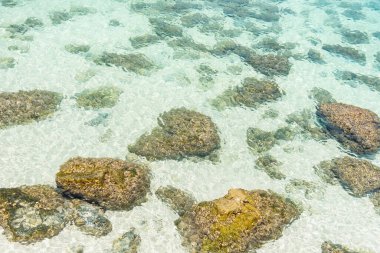 Güzel turkuazlı kayalar kristal berrak deniz suyu