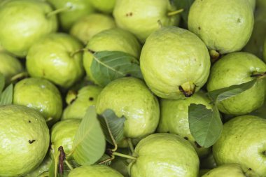 Taze guava meyvesi. Yeşil arkaplan.