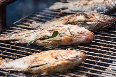 Kömürde tuzlanmış balık geleneksel bir Tayland yemeğidir.