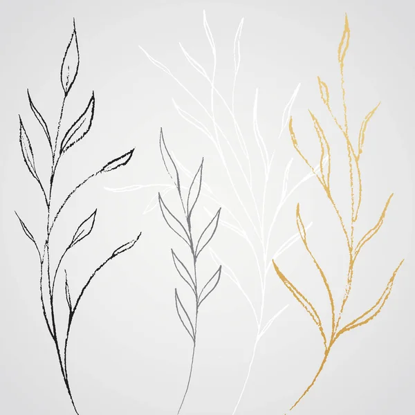 Esboço Desenhado Mão Folhas Fundo Ilustração Vetorial — Fotografia de Stock