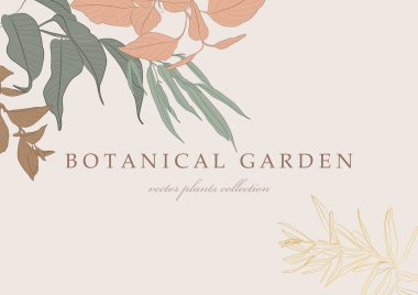 Botanik bahçesi. El çizimi bitki elementlerinin vektör koleksiyonu