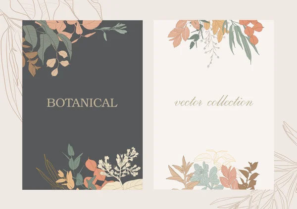 Botanisk Trädgård Vektorsamling Handritade Växtdelar — Stock vektor