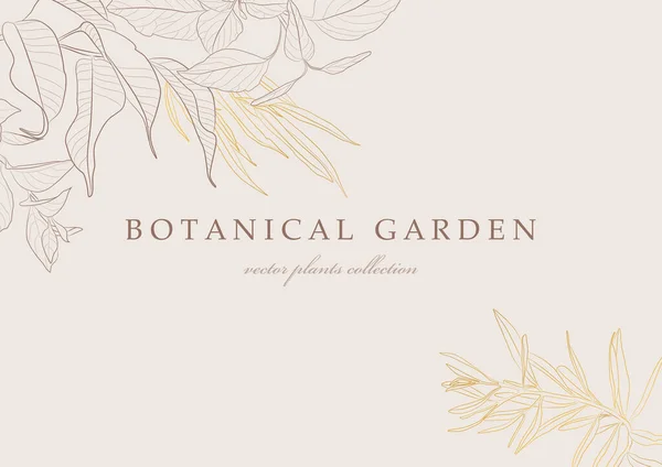 Botanik Bahçesi Çizimi Bitki Elementlerinin Vektör Koleksiyonu — Stok Vektör