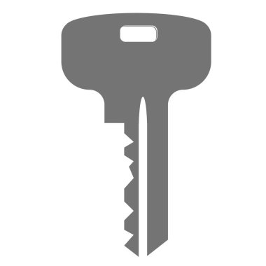 Herhangi bir kapıyı açmak için bir anahtarın vektör çizimi.