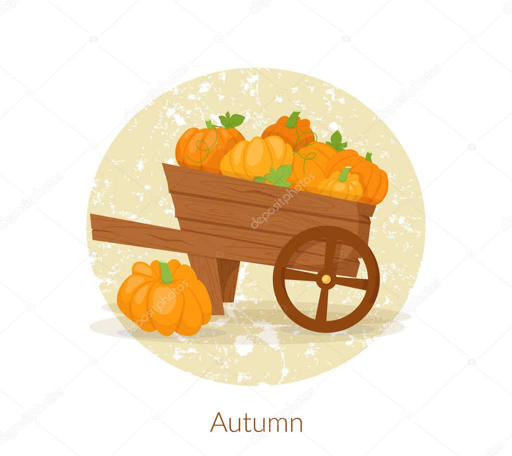Farmer wooden cart with pumpkin. Autumn harvest pumpkins in wood wagon isolated on white background for Thanksgiving vector