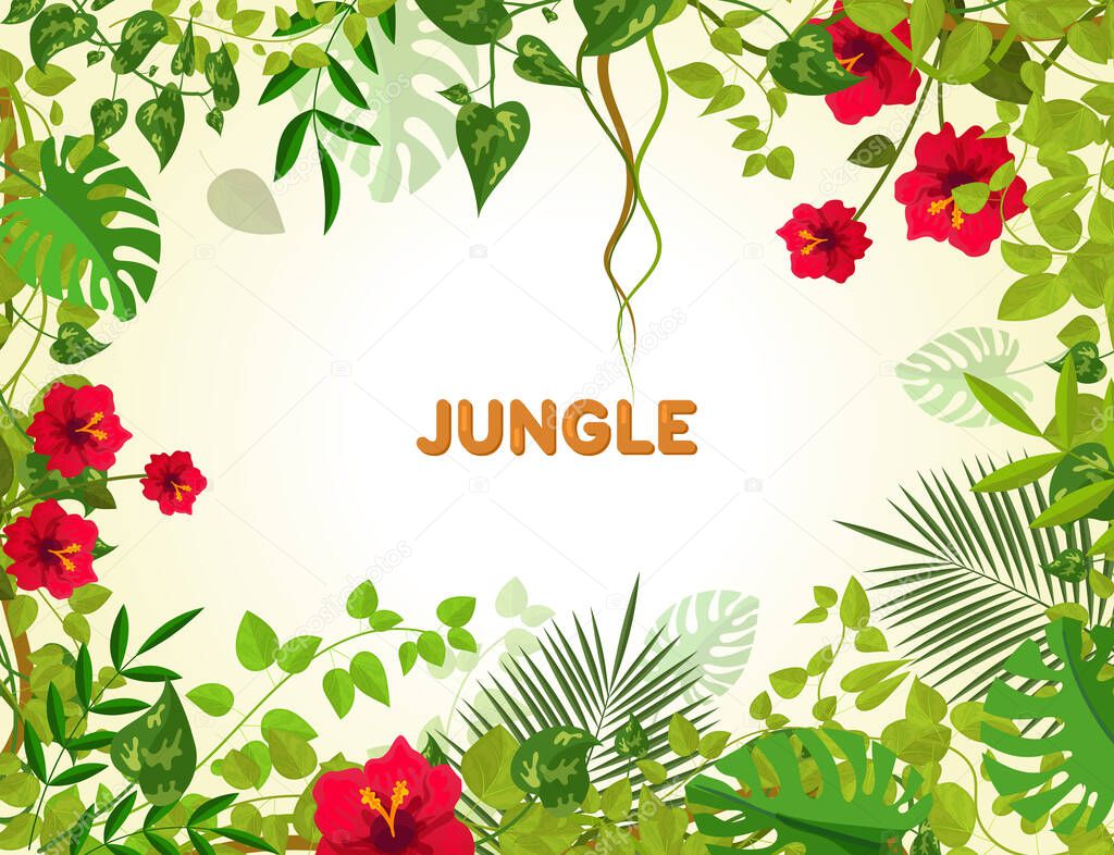 Summer tropical background with jungle plants. Liana branches frames and rainforest tropical leaves flowers. Junglee liana plants for banner greeting template vector illustration