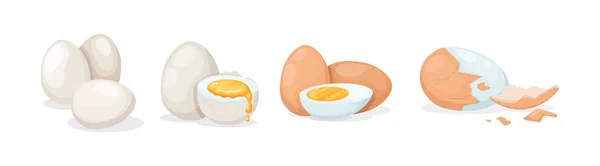 Свежие Вареные Яйца Куриные Разбитые Яйца Растрескавшейся Яичной Скорлупой Желтками — стоковый вектор