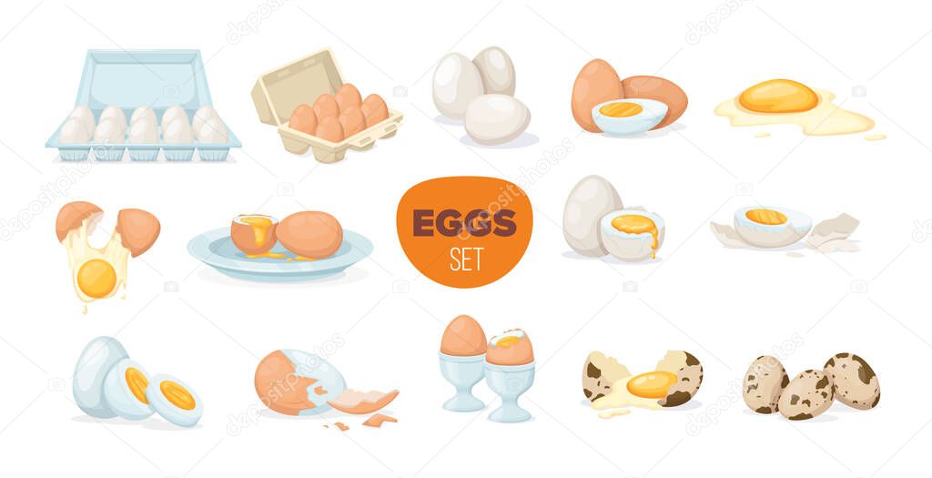 Fresh and boiled eggs. Chicken, quail broken eggs with cracked eggshell and yolks, in cardboard box, egg half with yolk, boiled and fried. Cooking ingredient. Healthy organic food farm product vector