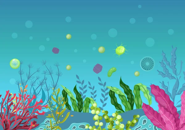 海の水中海洋の背景 アクアプラント サンゴ礁水中海藻植物 海洋植物 ラミナリア 海苔熱帯植物と海の海底 水中生命体 — ストックベクタ