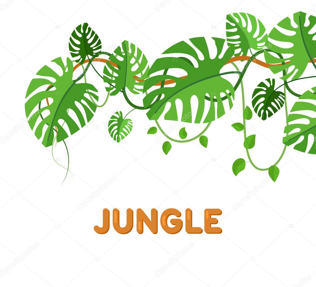 Tropical flowers and leaves collection vector isolated