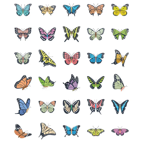 Πεταλούδα Επίπεδη Διάνυσμα Εικόνες Set — Διανυσματικό Αρχείο