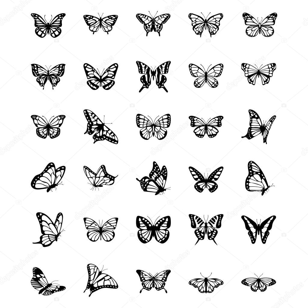 Butterfly Solid Vector Icons Set