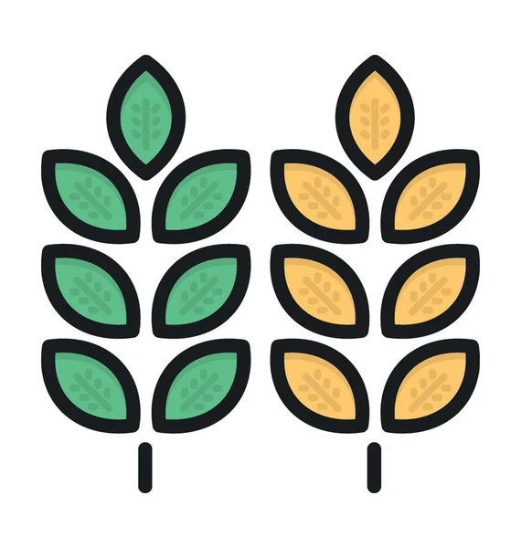 Weizenohren Farbiges Vektorsymbol — Stockvektor