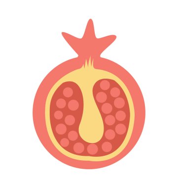 Nar renkli vektör simgesi