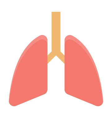 Akciğerler renkli vektör simgesi