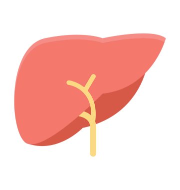 Karaciğer renkli vektör simgesi