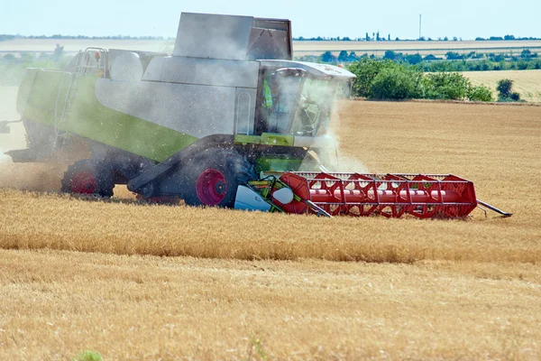 Harvester Verzamelt Oogst Tarwe Het Veld Combineren — Stockfoto