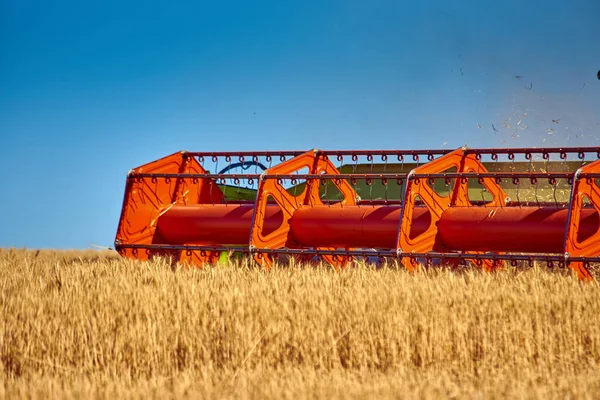 Combine Harvester Threshing Machine Cutting Device Gathers Harvest Wheat Field — Stock Photo, Image