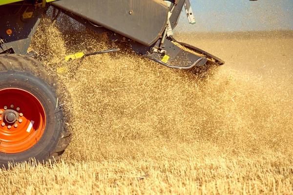Shredded Straw Flies Out Combine Harvesting — Stock Photo, Image