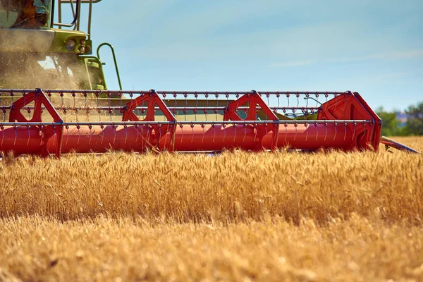 Комбайн Подрібнювач Ріжучий Пристрій Збирає Урожай Пшениця Полі — стокове фото