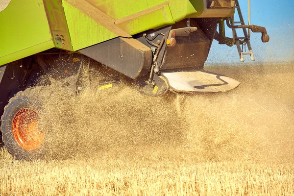 Een Gesnipperde Rietje Vliegt Uit Het Combineren Oogst — Stockfoto